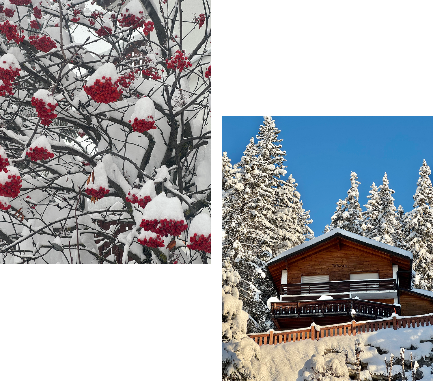 TP Immobilier Crans Montana Hiver