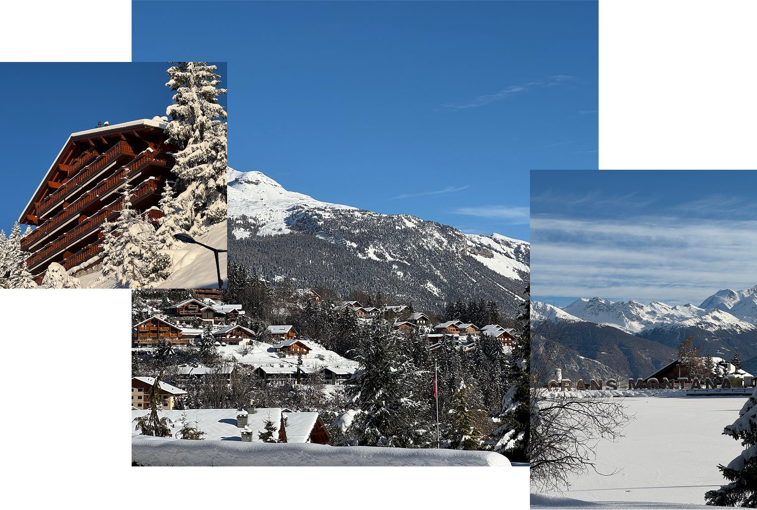 TP Immobilier Terrain Valorisation
