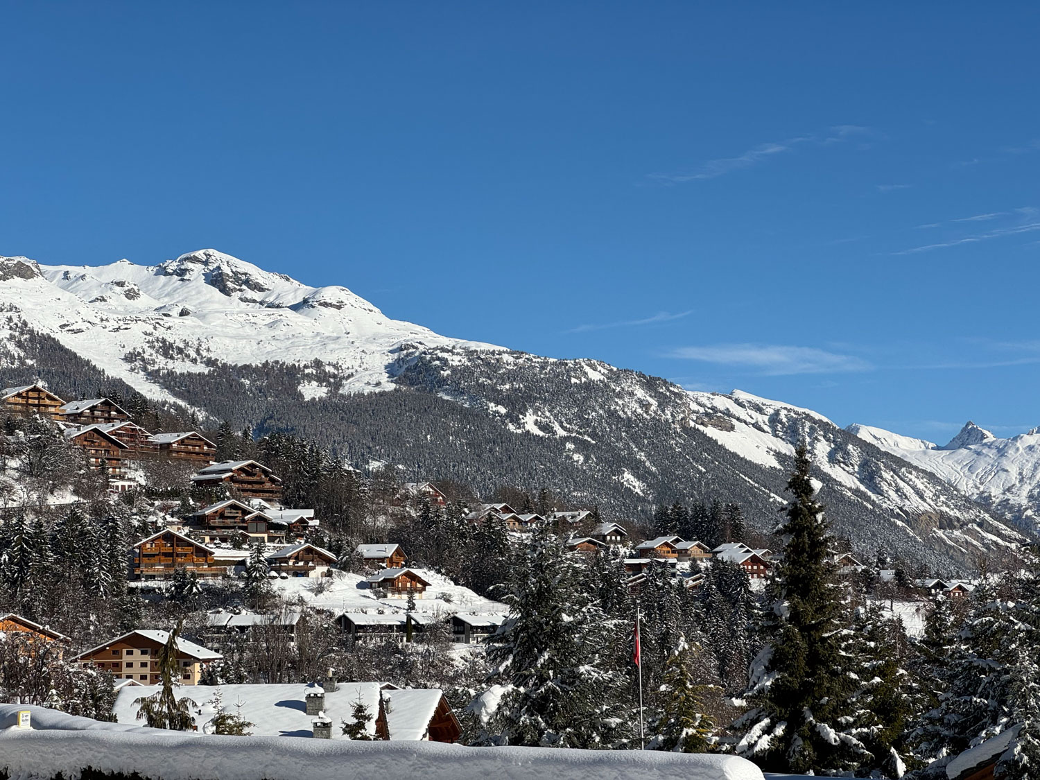 TP Immobilier img 058