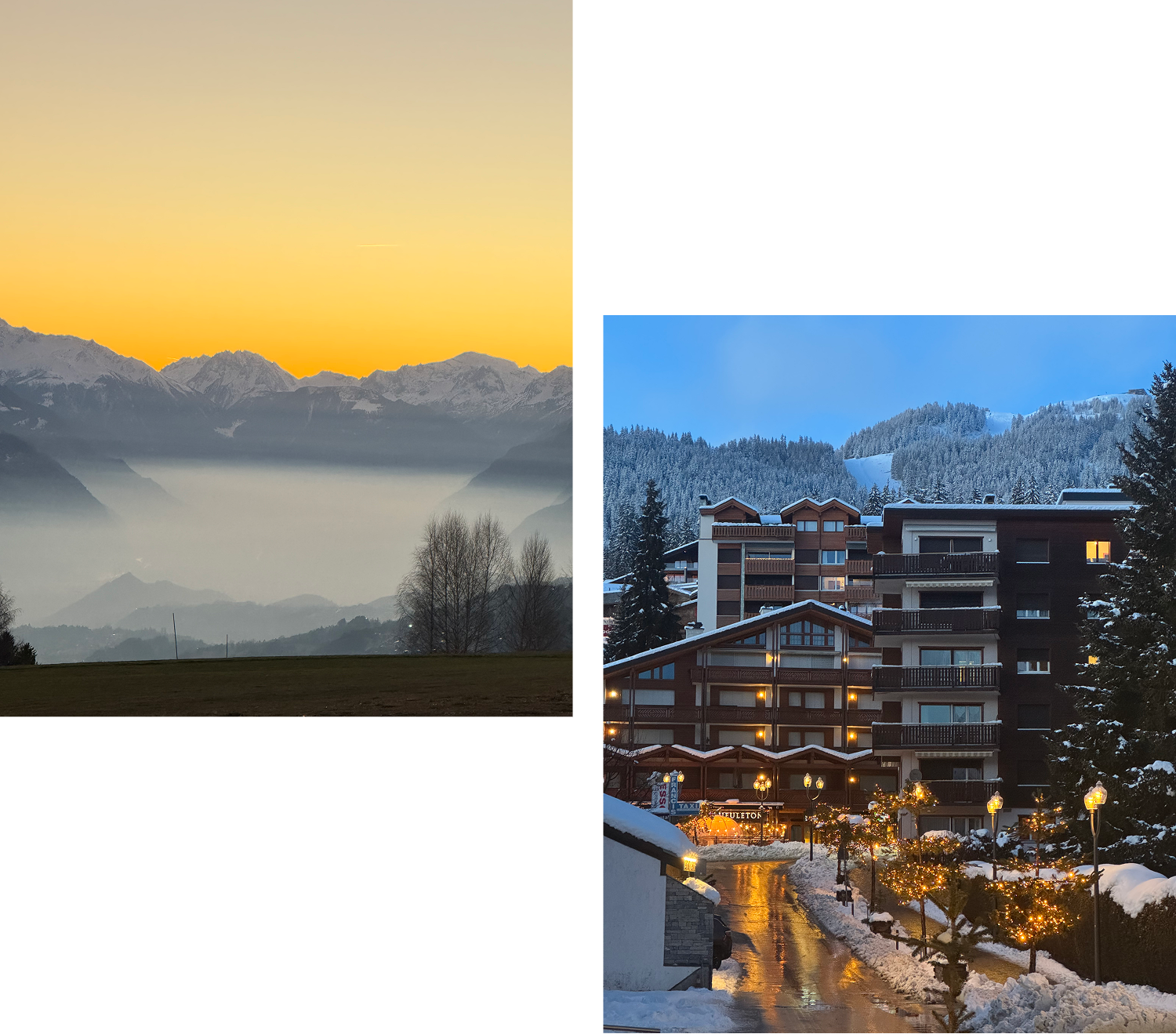 TP Immobilier Contact Infos